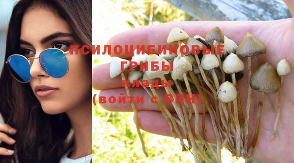a pvp Пролетарск