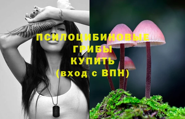 прущие грибы Покровск