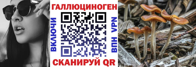 Псилоцибиновые грибы прущие грибы  MEGA как войти  Алзамай 