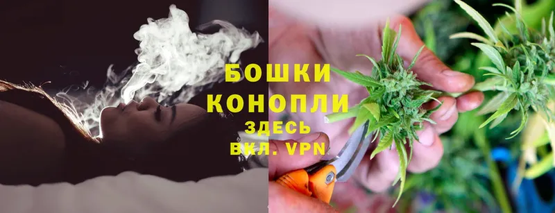 кракен сайт  Алзамай  Шишки марихуана THC 21% 